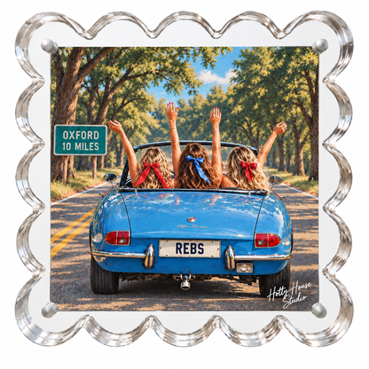 Rebel Road Trip